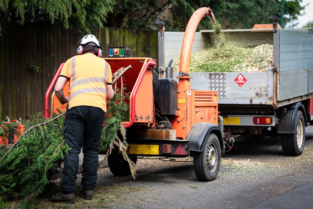 Finding a qualified tree care service is hard. These tips can help