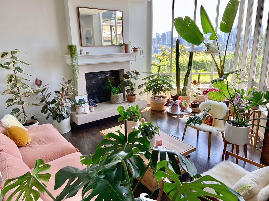 Suki Kwon’s Queen Anne home features south-facing windows with a terrific view of the Space Needle and tons of sunlight for her plant collection. (Courtesy of Suki Kwon)