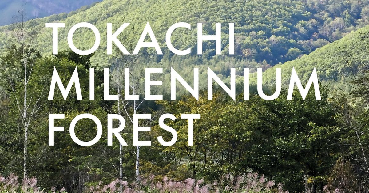 ‘Tokachi Millennium Forest’ captures a broad and visionary landscape that’s as a great deal about men and women as it is about crops