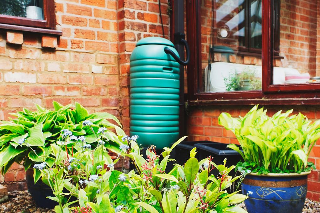 Rain barrels, along with rain gardens and watering systems, topped several Seattleites’ wish lists. (Getty Images)