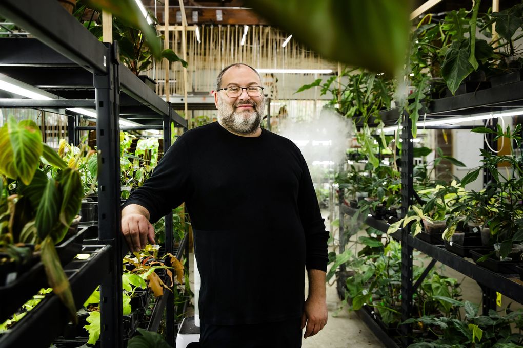 Neil Silverman is the owner of Peace Love and Happiness Club, two specialty shops in the Fremont featuring coveted Instagram-ready house plants. Their second location recently opened and caters to customers seeking rare, exotic and sometime pricey plants. (Bettina Hansen / The Seattle Times)