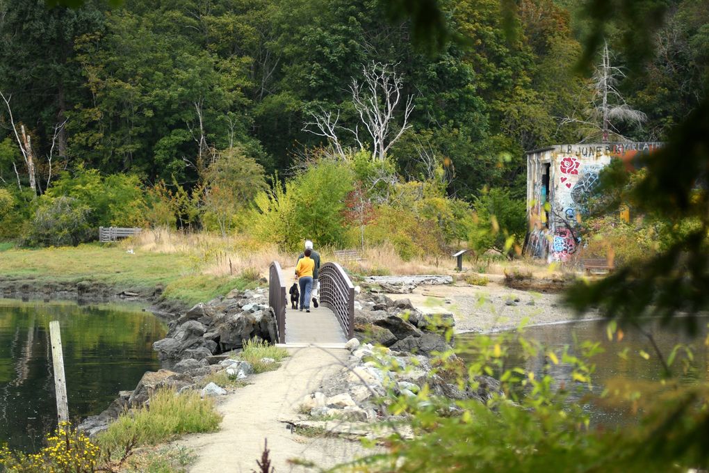 Once the site of one of the largest sawmills in the world, Blakely Harbor now has a circular walking trail.  (JiaYing Grygiel / Special for the Seattle Times)