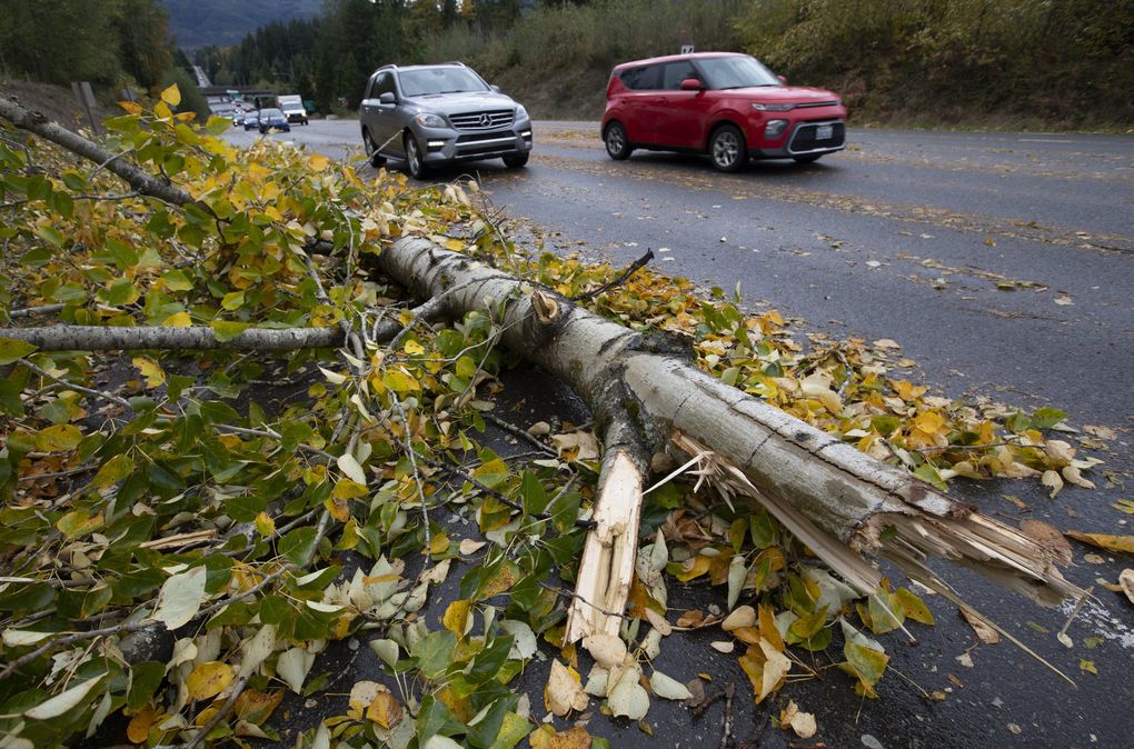 Trees blocking all lanes of Highway 18 on both sides of Interstate 90.