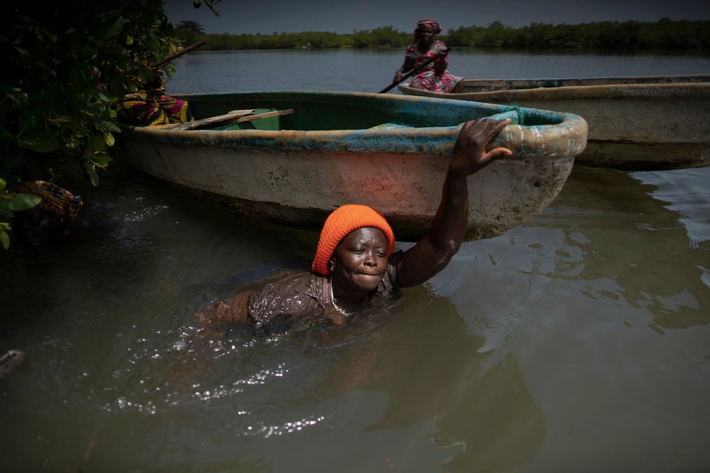 Rose Jatta pulls her boat into the estuary waters as she looks for fish traps she had set up earlier in the mangrove of the Gambia river in Serrekunda, Gambia, Saturday, Sept. 25, 2021. As health officials in Gambia and across Africa urge women to be vaccinated, they’ve confronted hesitancy among those of childbearing age. Although data on gender breakdown of vaccine distribution are lacking globally, experts see a growing number of women in Africa’s poorest countries consistently missing out on vaccines. Jatta fears the vaccine against COVID-19 could make her ill, leaving her two children without food on the dinner table. (AP Photo/Leo Correa)