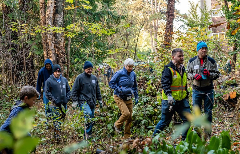 Nick Musso (yellow vest) of the Seattle Parks and Recreation Natural Area Crew leads volunteers through Beaver Pond Natural Area in Seattle on Green Seattle Day in 2019.  (Andy Watson)