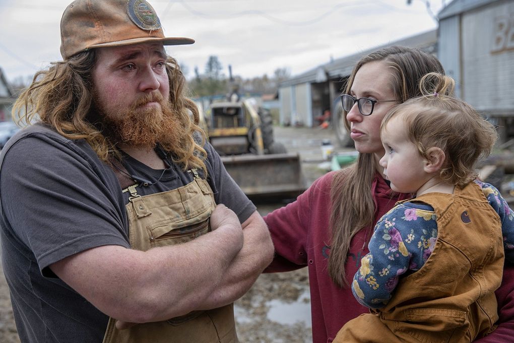 Jordan Baumgardner, left, is consoled by his wife Jamie who holds their daughter Grace. Jordan, herdsman at the family’s Mount Vernon dairy farm, struggled in flood waters in the night to save 250 dairy cows and is still reeling from losing 44 of them. (Ken Lambert / The Seattle Times)
